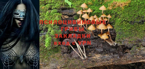 мескалин Алексеевка
