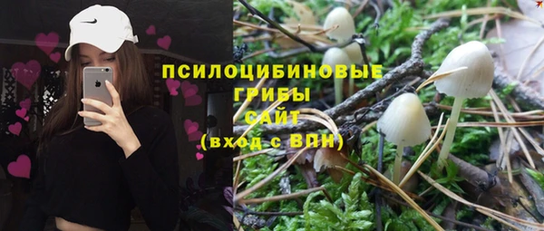 скорость Алзамай