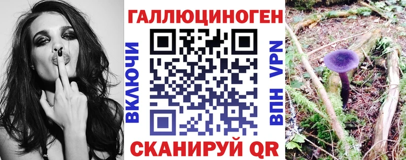 Галлюциногенные грибы Cubensis закладки blacksprut как зайти Белоусово